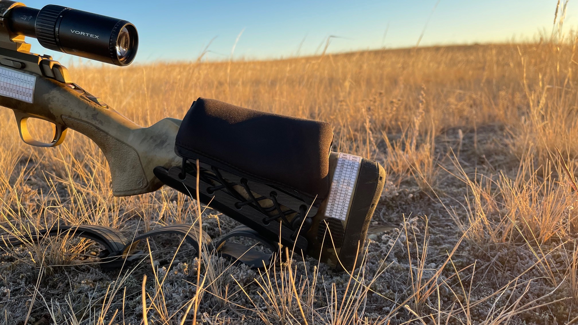 Elite Marksman cheek rest in golden hour field conditions
